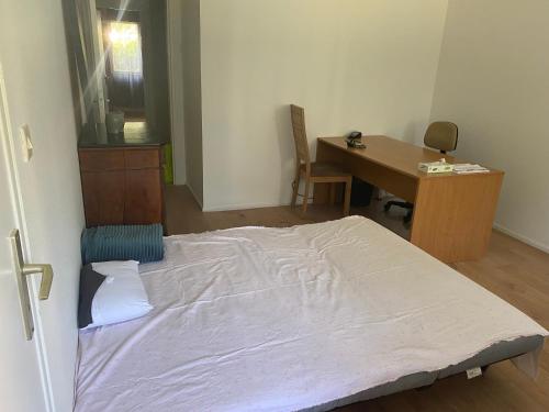 Belle apparemment à Nancy – Photos 4