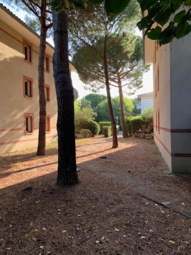 Appartement T1 Résidence Sporting 1er étage