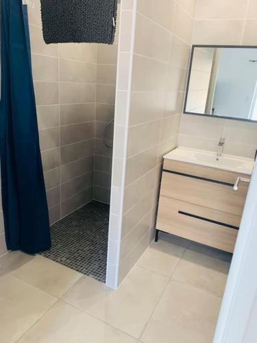 une salle de bain avec une douche avec un lavabo et un miroir dans l'établissement Le Relais des Brias, à Saint-Martin-Lacaussade