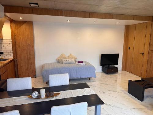 Sala de estar con cama y TV en Premiun Apart 1 - Pleno Centro en Suipacha
