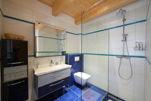 a bathroom with a shower and a sink and a toilet at Neulendtnerhof in Mettmach