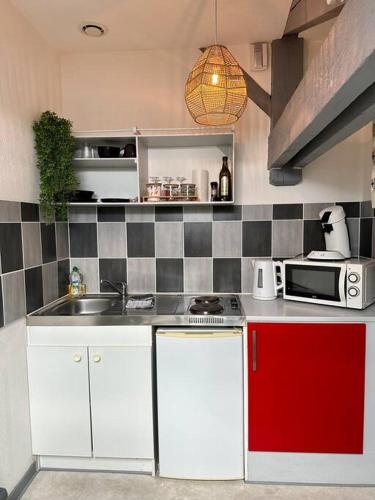 une cuisine avec un évier et un micro-ondes dans l'établissement Studio proche Gare, à Bourg-en-Bresse