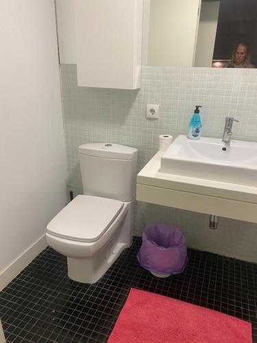 a bathroom with a white toilet and a sink at Manzanas in Camarma de Esteruelas
