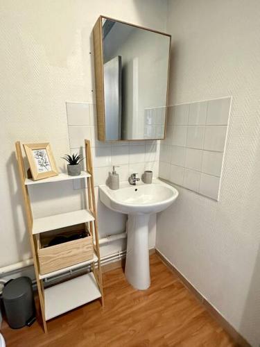 une salle de bain avec un lavabo et un miroir dans l'établissement Studio Calme et Cosy -Gare-, à Bourg-en-Bresse