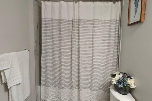 a shower curtain in a bathroom with a toilet at BlissfulAbode Basement Suite in Airdrie