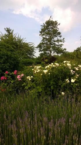 Un jardín fuera de B&B Hier en Nu