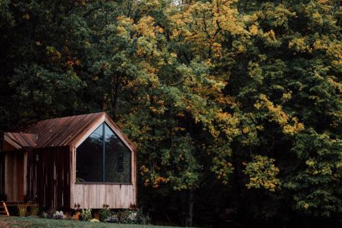 Κήπος έξω από το Casa Moon & son bain nordique sur le lac