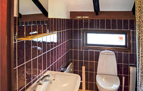 a bathroom with a toilet and a sink at Nice Home In Thisted With 3 Bedrooms, Sauna And Wifi in Nørre Vorupør