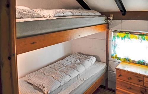 two bunk beds in a room with a window at Nice Home In Thisted With 3 Bedrooms, Sauna And Wifi in Nørre Vorupør