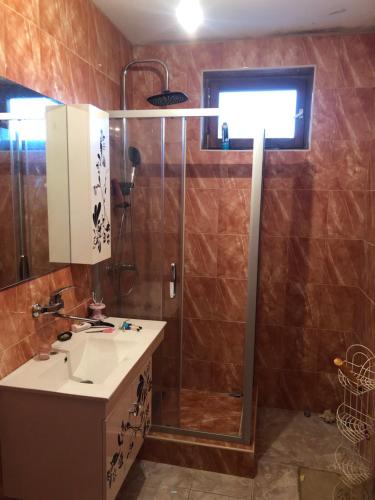 a bathroom with a sink and a shower at Slankamen in Stari Slankamen