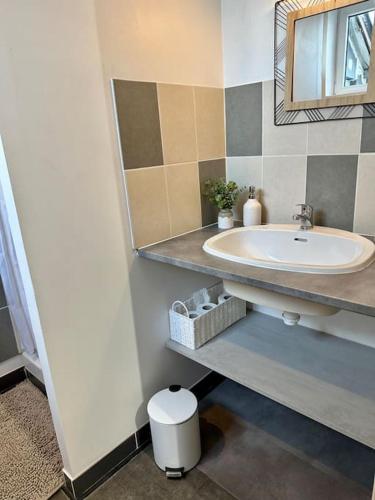 une salle de bain avec un lavabo et un miroir dans l'établissement Joli studio à 3 min de la Gare, à Bourg-en-Bresse