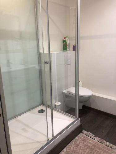 a bathroom with a shower and a toilet at Grand studio in Meythet