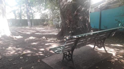 Casa Quinta Lavanda – Photos 3