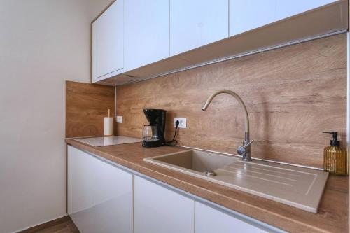 eine Küche mit einem Waschbecken und weißen Schränken in der Unterkunft Villa Orkula in Debeljak