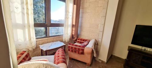 a living room with two couches and a television at CityCenter Charm in Ramallah