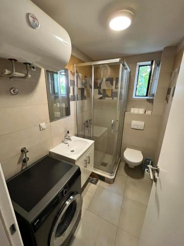 a bathroom with a toilet sink and a shower at San snova apartmani Niš in Donja Vrežina