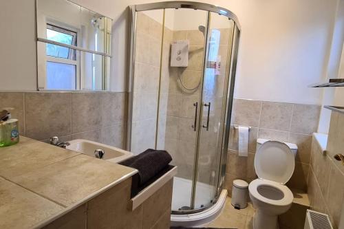 a bathroom with a shower and a toilet and a sink at A spacious and well equipped 4 bedroom house in Portsmouth