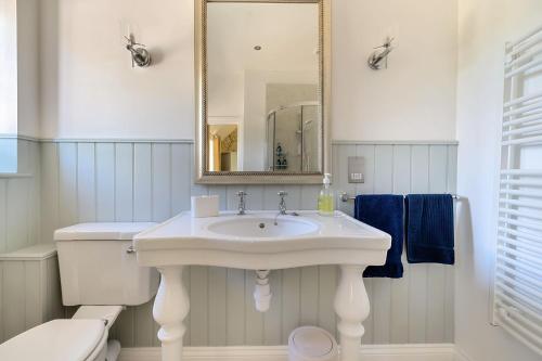 a bathroom with a sink and a toilet and a mirror at Stable Cottage in Dorchester