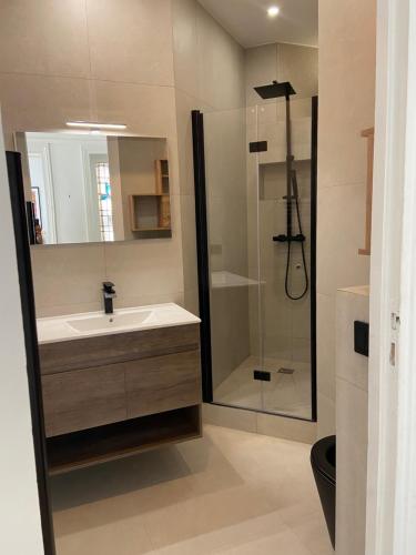 ein Bad mit einem Waschbecken und einer Dusche in der Unterkunft Appartement cozy pour 4 personnes - A 5 minutes de Paris in Levallois-Perret