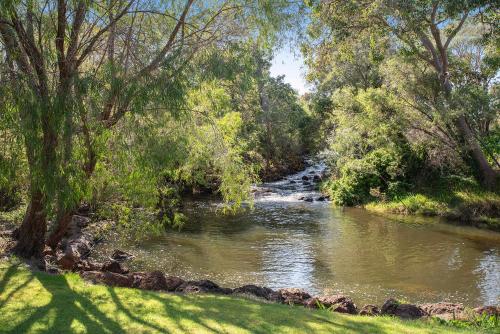 a stream in a forest with trees and a river at Cantley at Flutes Estate, Margaret River in Wilyabrup
