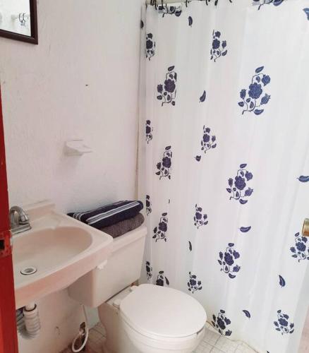 a bathroom with a sink and a toilet and a shower curtain at Casa completa en Zapopan in Guadalajara