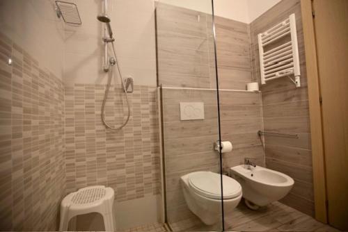 a bathroom with a shower and a toilet and a sink at Hotel Elite in Cervia