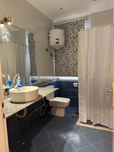 La salle de bains est pourvue d'un lavabo, de toilettes et d'une douche. dans l'établissement Elegant room in the city center, au Caire