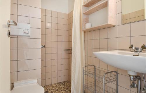靈克賓的住宿－Cozy Apartment In Ringkbing With Kitchen，一间带水槽和卫生间的浴室