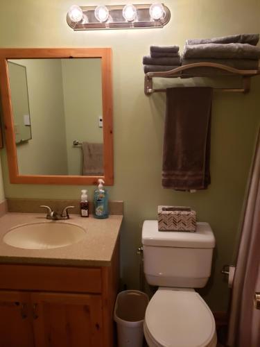 a bathroom with a toilet and a sink and a mirror at Adventure in the woods @ Seven Springs in Champion