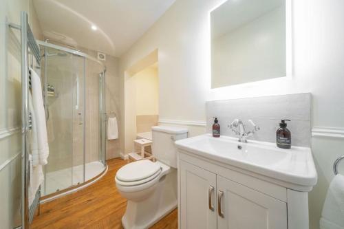 a bathroom with a toilet and a shower and a sink at Dreamy Town House Apartment in Dunkeld in Birnam