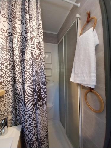 a bathroom with a shower with a shower curtain at Petit studio dans la prairie in Saint-Auban