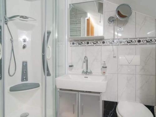uma casa de banho com um lavatório, um chuveiro e um WC. em Charming holiday home with private pool and covered terrace em Škrip
