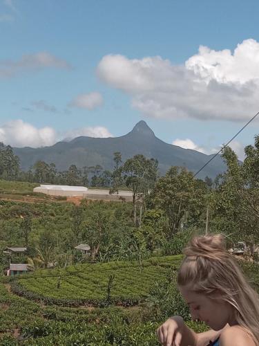 a little girl sitting in a field with a mountain in the background at Trinish homestay in Hatton