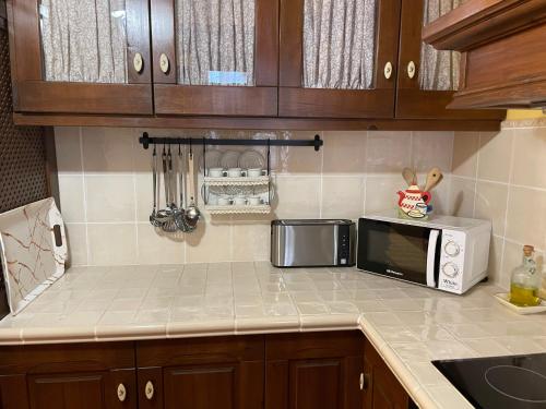a kitchen with a counter top with a microwave at Casa Lidia - Antigua Posada Real in Valderrobres