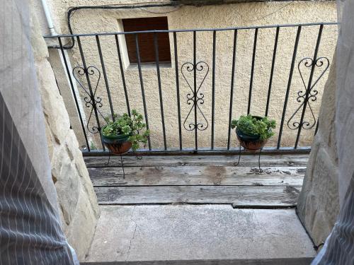 two potted plants sitting on a railing on a porch at Casa Lidia - Antigua Posada Real in Valderrobres