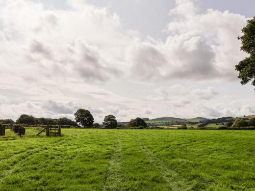 a field of green grass with a cloudy sky at Garreg Wen in Holywell