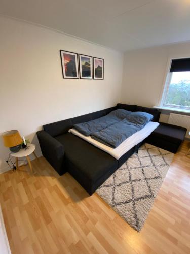 Apartment in the center of Tórshavn, free parking. في تورشافن: أريكة سوداء في غرفة معيشة مع سرير