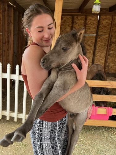 a woman is holding a baby kangaroo at Rustic Farm Stay in Temecula