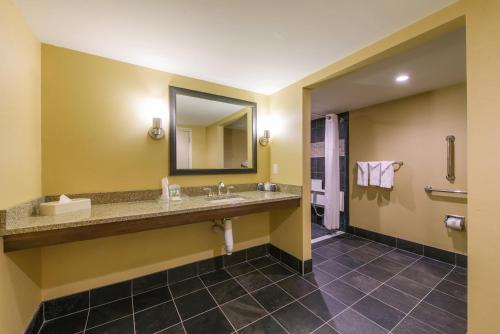 a bathroom with a sink and a mirror at Hotel MTK Mount Kisco in Mount Kisco