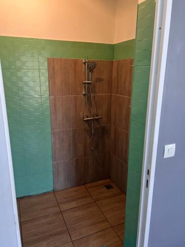 y baño con ducha de azulejos verdes y marrones. en Le Calbanon cilaos, en Cilaos