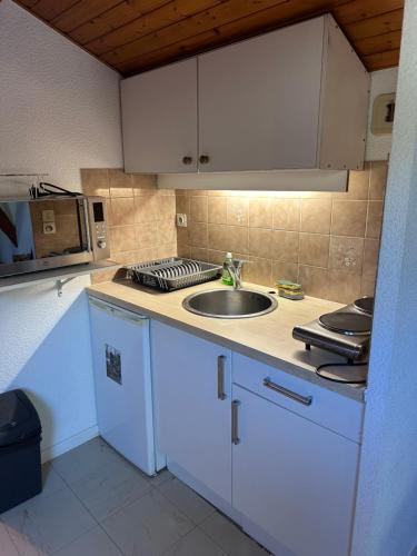 une petite cuisine avec un évier et un micro-ondes dans l'établissement Studios Corenc, à Corenc