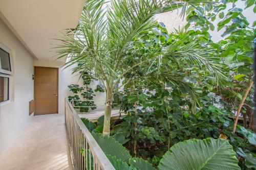 Κήπος έξω από το Santamar by Tao Beach Condos with Pool & Walk to Ocean