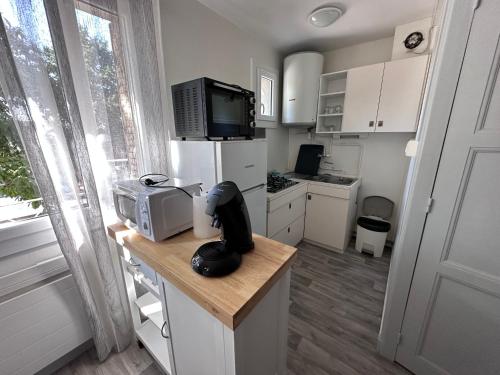 eine Küche mit einer Theke, einer Mikrowelle und einem Kühlschrank in der Unterkunft Joli T4 Saint Martin D'Hères in La Tronche