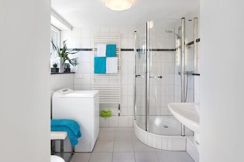 a white bathroom with a shower and a toilet and a sink at Bluehome Ferienwohnung in Bad Bellingen