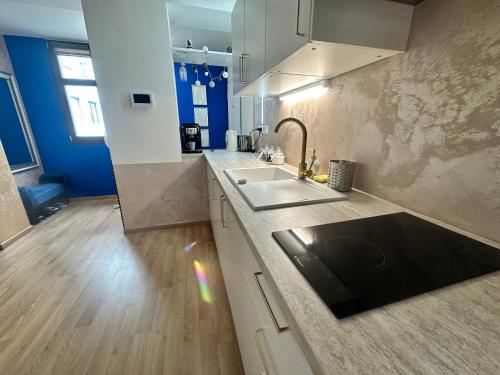 - une cuisine avec un évier et un comptoir dans l'établissement Apartment Blue House - Old Town, à Bratislava