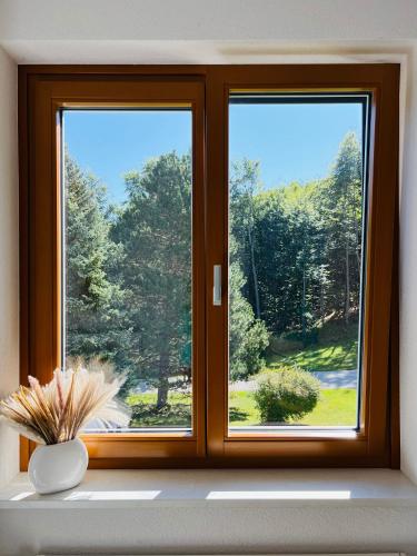 two windows in a room with a vase on a window sill at Dorfpension Mariahilfberg in Gutenstein