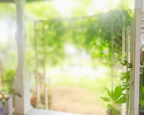 a window view of a garden with a plant at Tranquil at Airport Reach in Gonawala