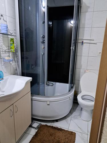 e bagno con doccia, servizi igienici e lavandino. di Dacia a Chişinău