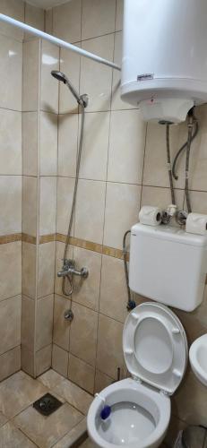 La salle de bains est pourvue d'une douche et de toilettes. dans l'établissement Apartments Bojadjieski, à Ohrid