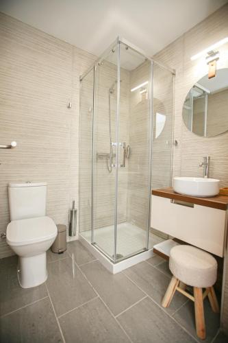 a bathroom with a shower and a toilet and a sink at El Maestrazgo in Xert